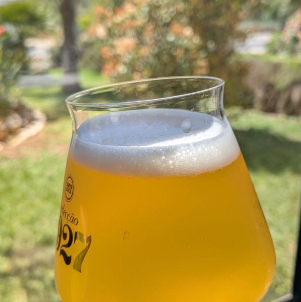 Saison | Dry & Spicy Belgian-Style Saison Recipe Kit